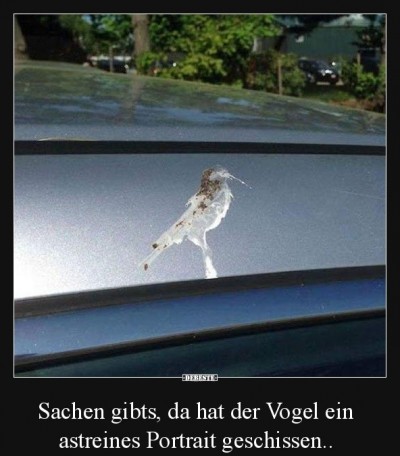 Kunstvoller Vogelschiss